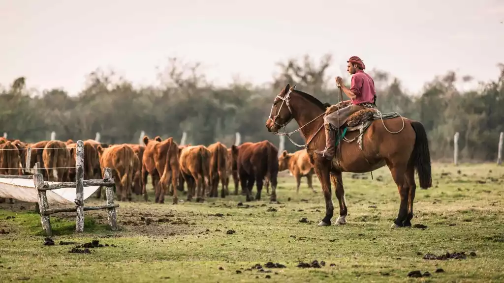 trabajador rural