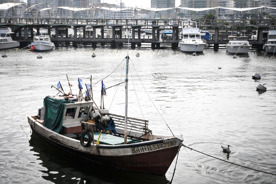 Puerto de Punta del Este, Maldonado. Foto: Javier Calvelo/ adhocFOTOS