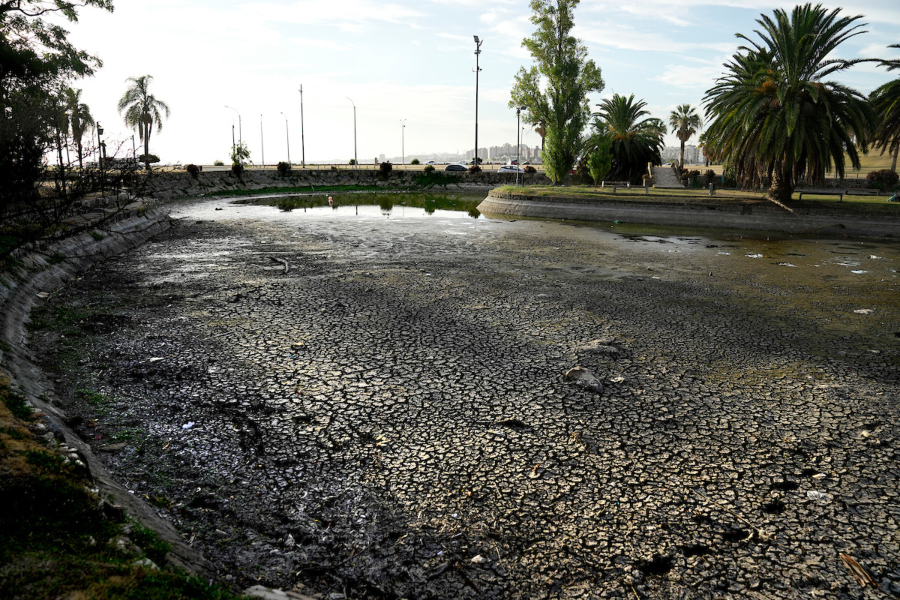 Sequía en el Lago Cachón en las canteras del Parque Rodó, en Montevideo. Foto: Javier Calvelo / adhocFOTOS