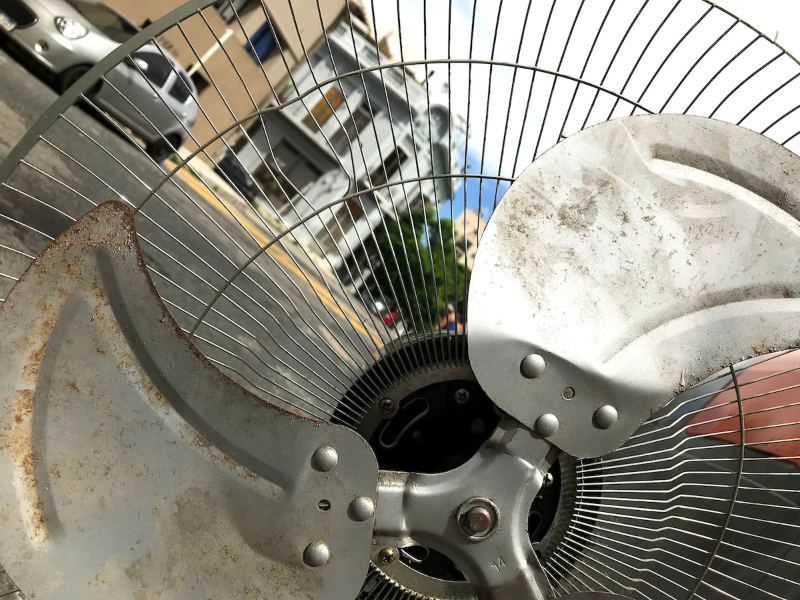 20100129 / Pablo La Rosa - adhoc FOTOS / Uruguay / Rocha