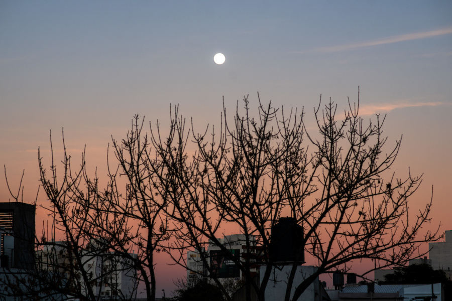 Luna llena. Foto: Ricardo Antúnez / adhocFOTOS