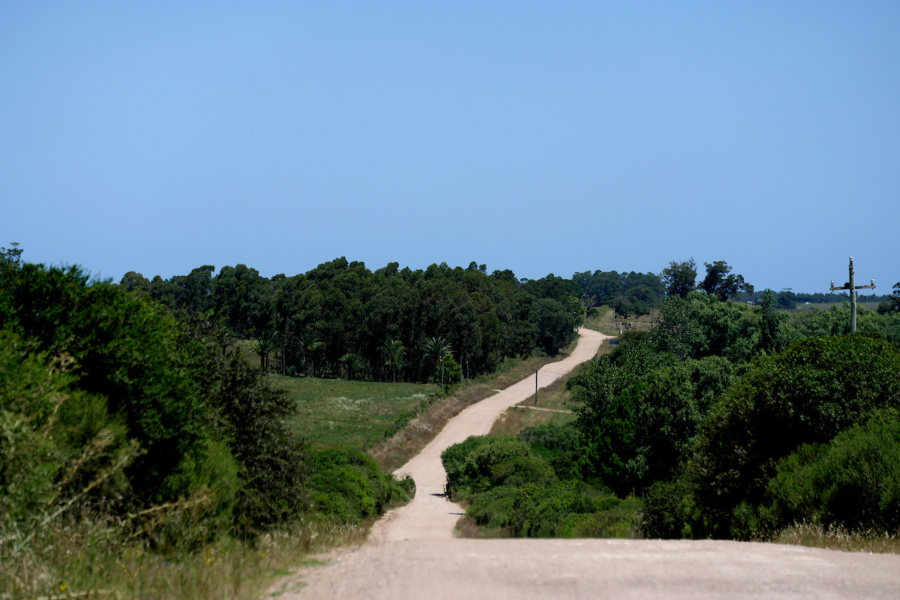 Camino de los fusilados cerca de Capilla de Cella en Canelones. Foto: Javier Calvelo / adhocFOTOS