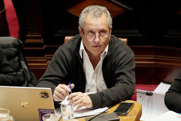 Alejandro Henry. Imagen: Adhoc Fotos.